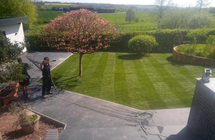 Professional turfing and lawn care installation featuring neatly striped turf, slate patio paving, and specimen tree planting