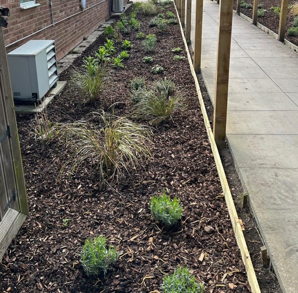 Irrigation of raised planting bed next to patio pathway, tree bark hiding irrigation