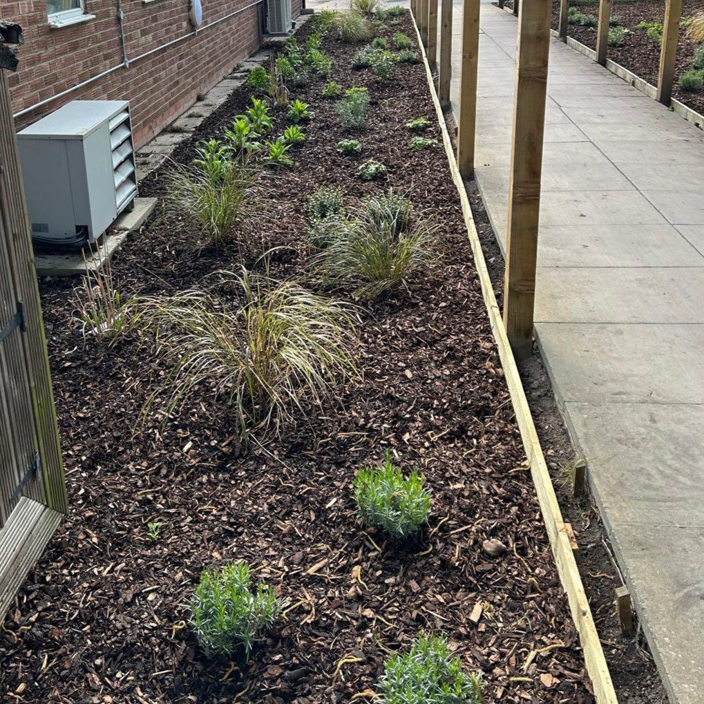 Irrigation of raised planting bed next to patio pathway, tree bark hiding irrigation