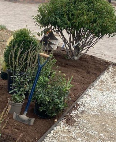 Planting in action with a blue shovel