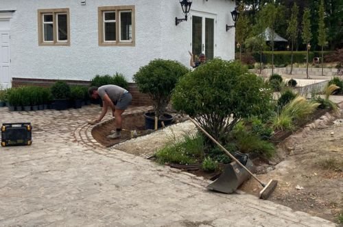 Planting plan in lapworth trees and grasses