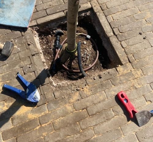 Will putting in hidden irrigation system around base of tree on block paving in a garden