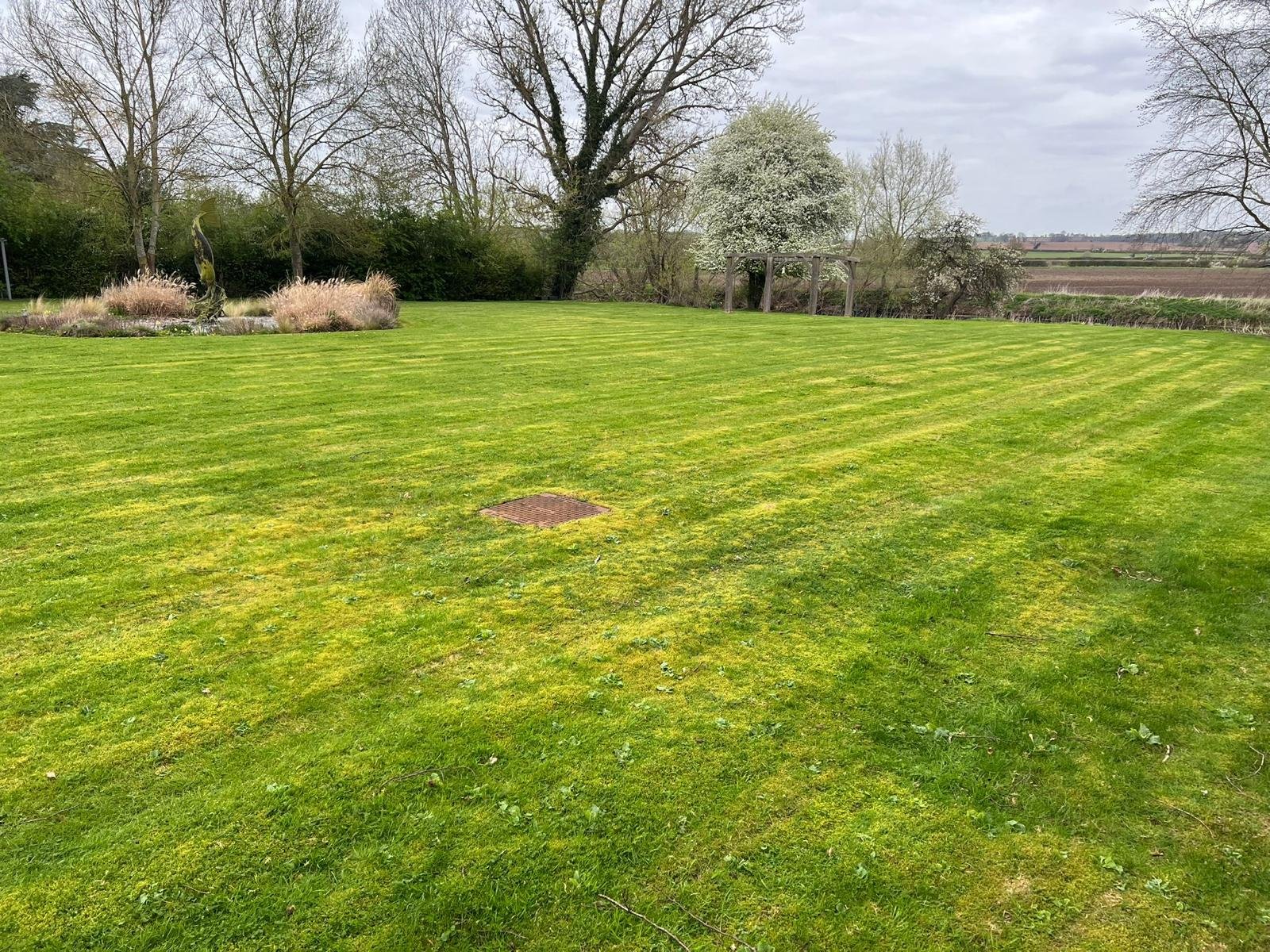 Garden Maintenance Stratford Upon Avon Tiddignton Lawn Mowing Hedge Trimming plant care and de weeding driveway design